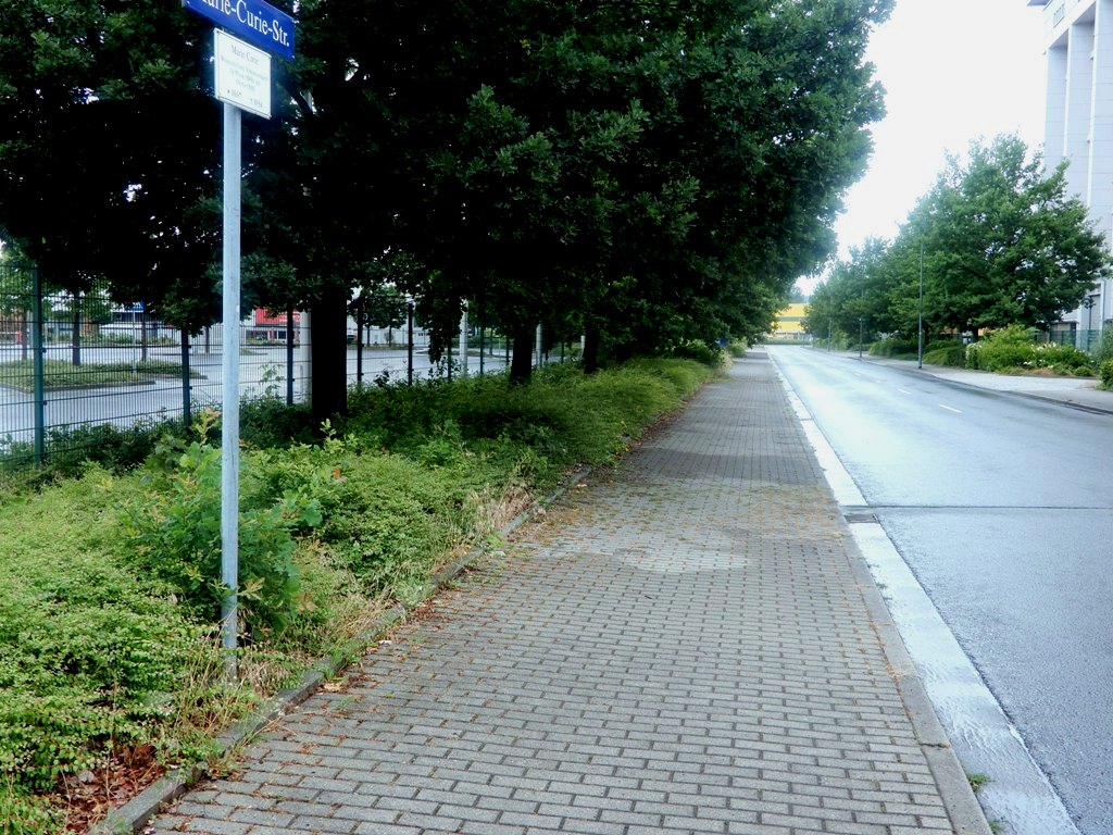 Die Marie-Curie-Straße in Übigau | DRESDNER STADTTEILZEITUNGEN