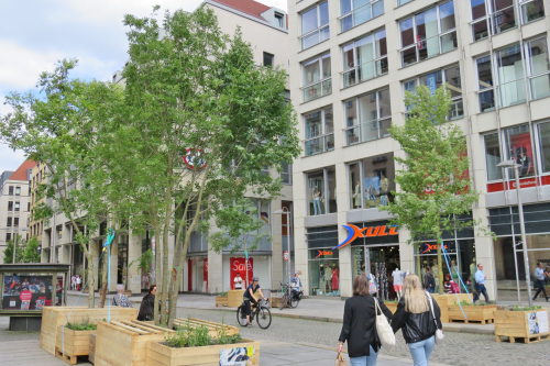 Ein schattiges Plätzchen unter Bäumen – das lässt sich jetzt auch in der Seestraße finden. Foto: Pohl